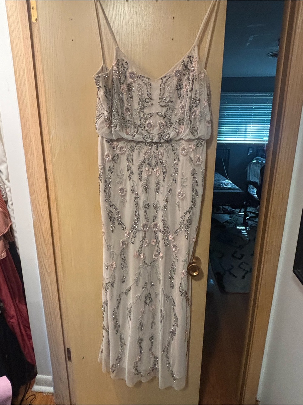 Adrianna Papell Blush Pink Beaded Maxi Dress